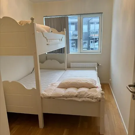 Til Leie Under Ski-vm *